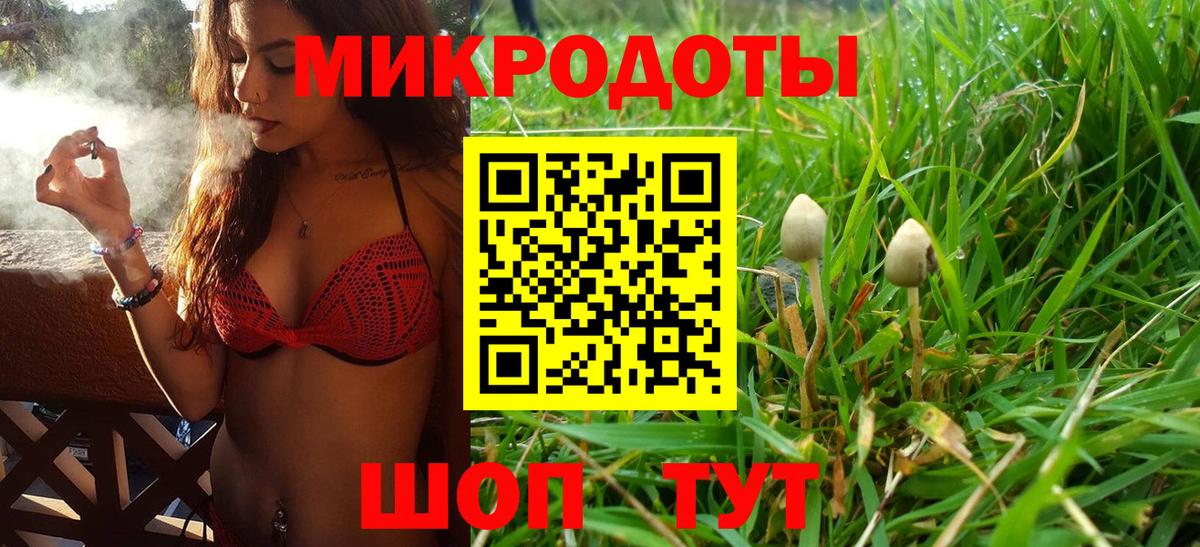 Галлюциногенные грибы Psilocybine cubensis  Вход с VPN  Советская Гавань 